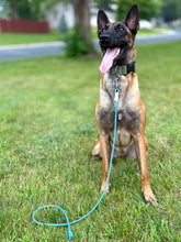 OB Leash
